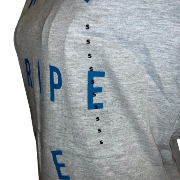 NWT Adidas Women’s Small Grey & Blue ‘Three Stripe Life’ Graphic T-Shirt - Picture 4 of 12